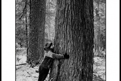 TREE_KISSER