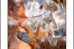 leaf-ice-mosaic-low