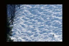 crede_calhoun_wisp579