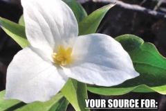 Deep Creek Lake Photography by Crede Calhoun