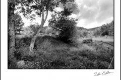 IMG_6188