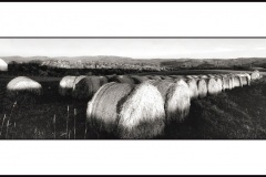 bales