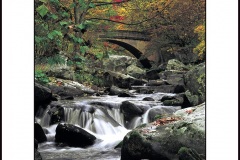 bearcreek-low