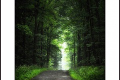 gtreen-roadLOW