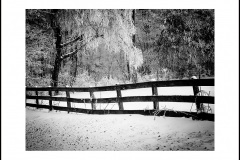 ruralscene