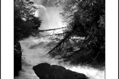 crede_calhoun_Swallow Falls State Park Photography for Sale 26