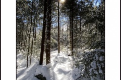 crede_calhoun_Swallow Falls State Park Photography for Sale 27