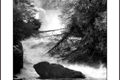 crede_calhoun_Swallow Falls State Park Photography for Sale 31