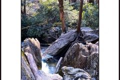 Tolliver-Creek- crede_calhoun_Swallow Falls State Park Photography for Sale 67