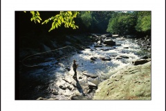 fly-fisherman Yough River