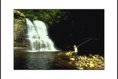 crede_calhoun_Swallow Falls State Park Photography for Sale 18