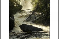 crede_calhoun_Swallow Falls State Park Photography for Sale 32